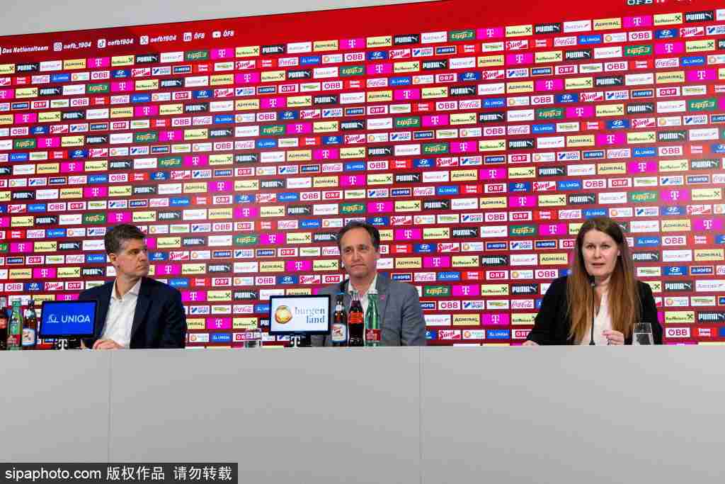 前沙尔克队长费尔曼宣布退役：37岁回顾德甲亚军之路，国家队梦未圆的背后故事！